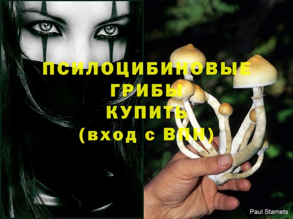 стафф Заволжье