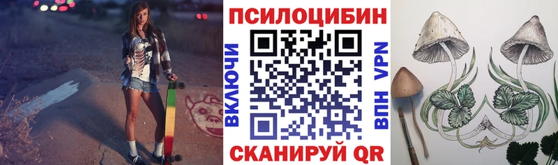 Галлюциногенные грибы MAGIC MUSHROOMS  Димитровград 